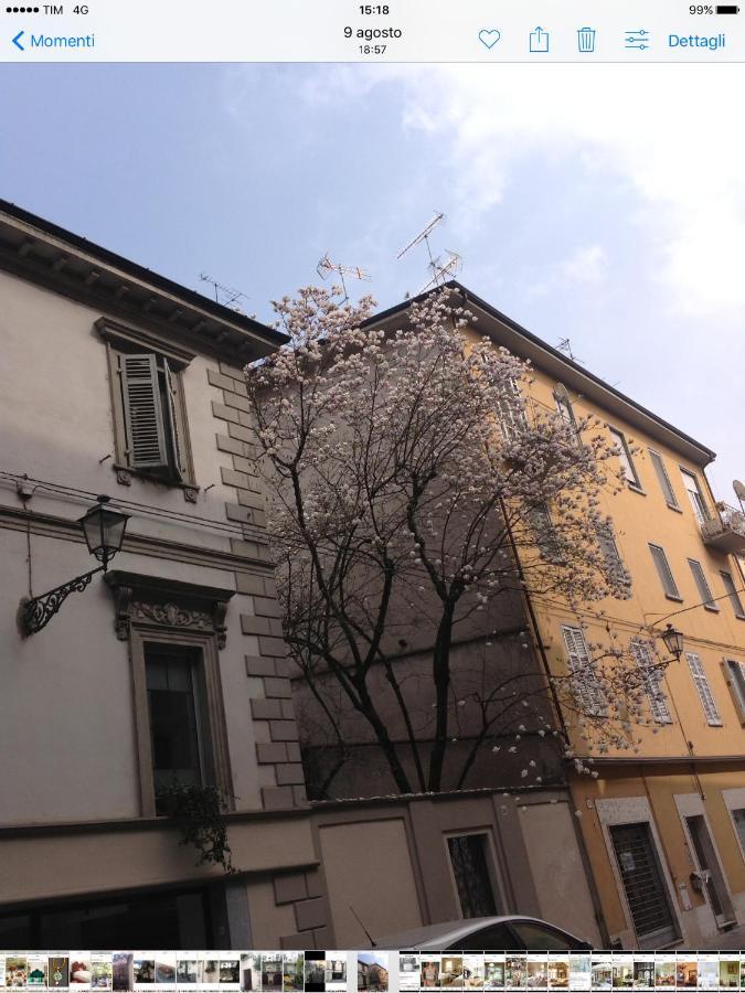 Magnolia Bed & Breakfast Казале Монферато Екстериор снимка